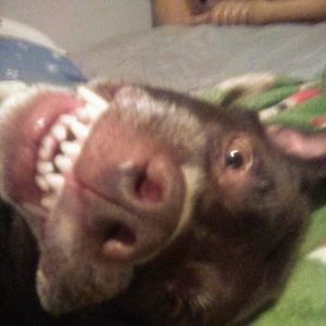 Meet your Posher, Julie